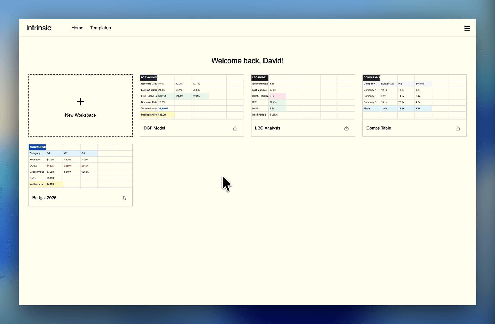 Multiple financial model workspaces in Intrinsic